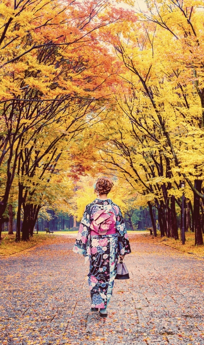 APCCMI 2027, Nagasaki, Japan Society Image03